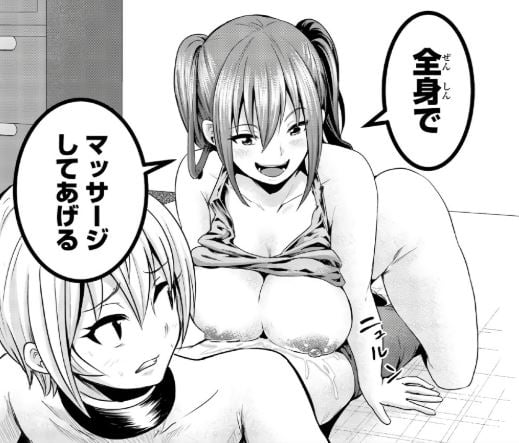 皆様の玩具です