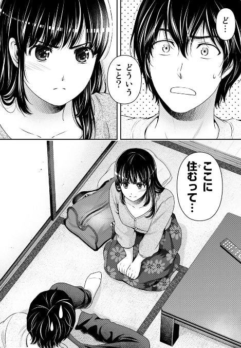 ドメスティックな彼女