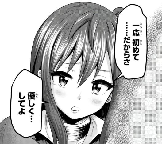 皆様の玩具です