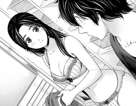 ドメスティックな彼女