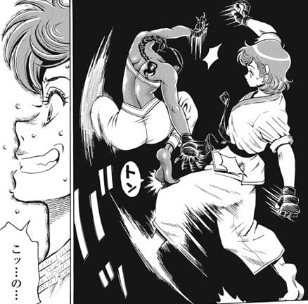 はぐれアイドル地獄変