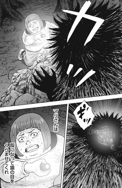 モンキーサークル