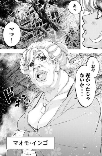 インゴシマ