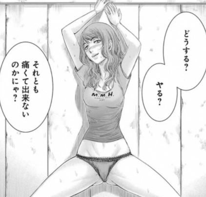無法島