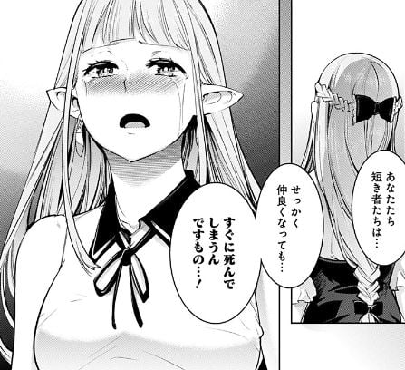 終末のハーレムファンタジア