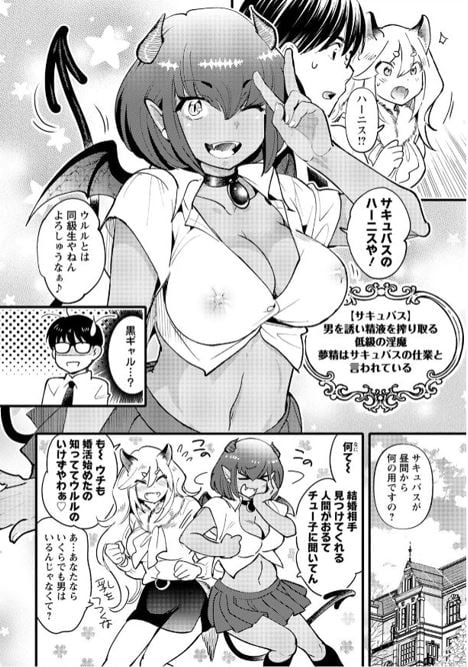 モンスターの婚活屋さん