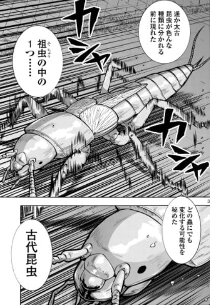 大巨蟲列島