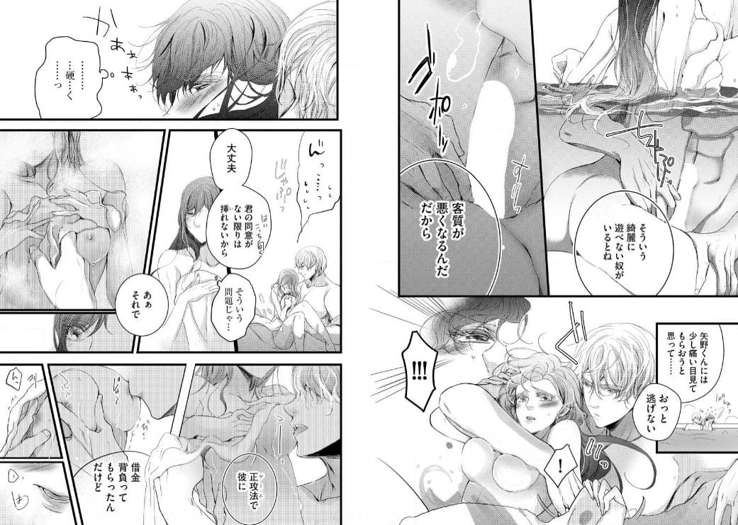 絶倫ヤクザの極上愛撫 逃れられない契約結婚