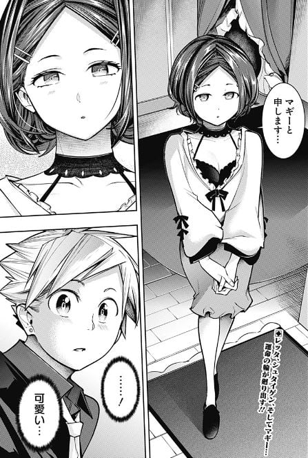 終末のハーレムファンタジア