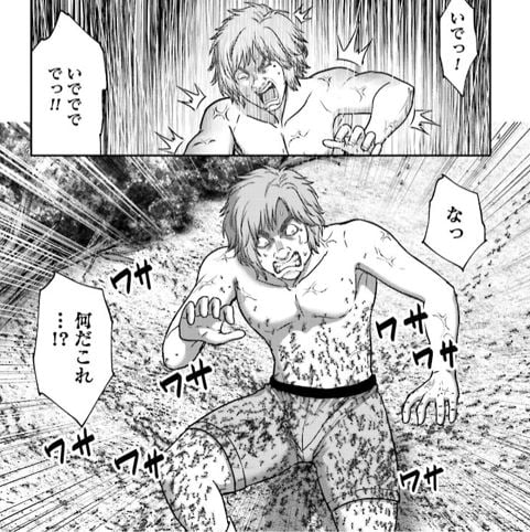 豚の復讐