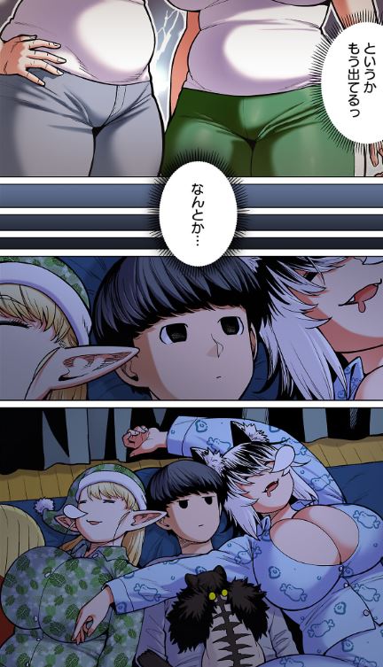 新･エルフさんは痩せられない