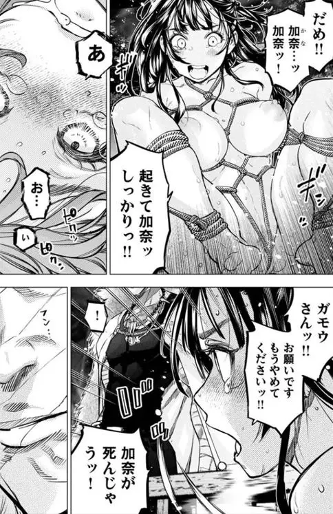 インゴシマエログロネタバレ
